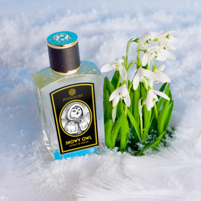 SNOWY-OWL-LS_720x Snowy Owl - Decant - Zoologist Perfumes