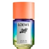 42380318_x1 Paula's Ibiza Eclectic - Decant - Loewe