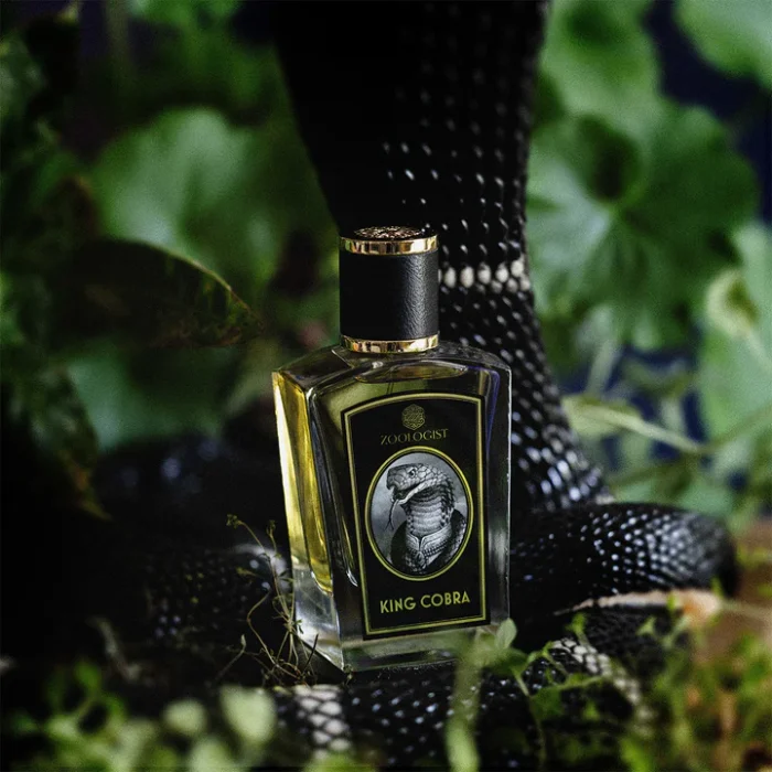 KingCobra_C_720x King Cobra - Decant - Zoologist Perfumes