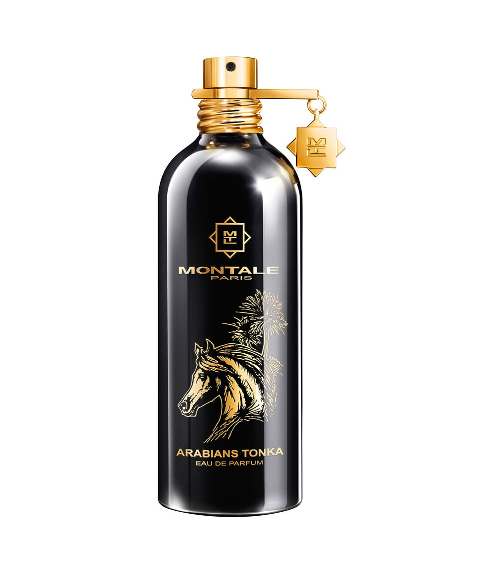 42825142_x1 Arabians Tonka - Decant - Montale
