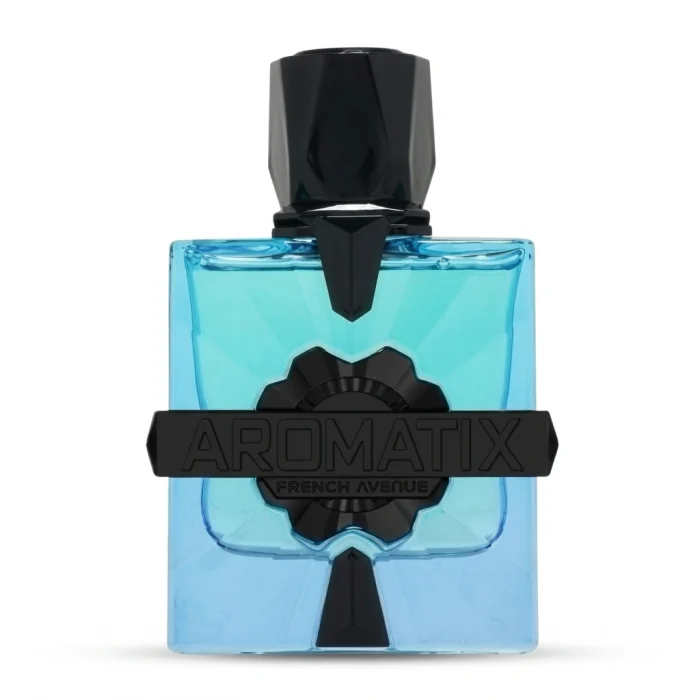 Magnetiq Aromatix X - Decant - French Avenue
