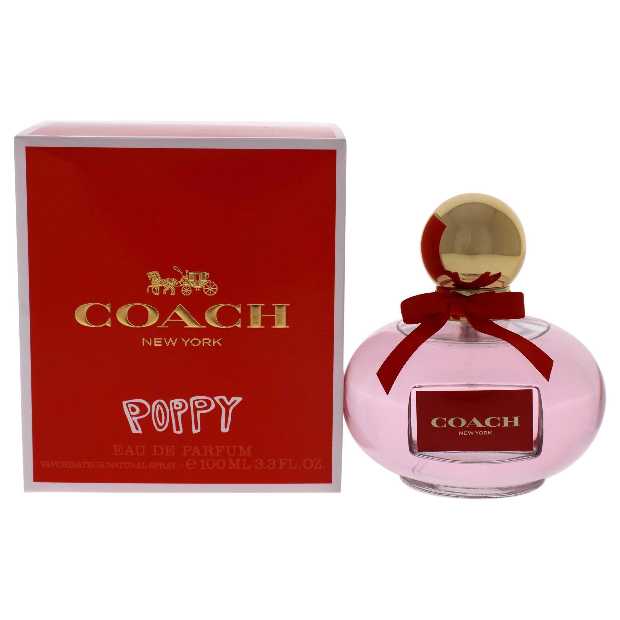 Version 1.0.0 Coach Puppy 100ml