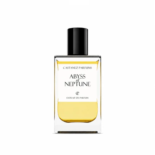 072c089c-a772-41c8-bc6b-75d185398328 Abyss of Neptune - Decant - Castanez Parfums