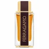 Ferragamo Spicy Leather - Decant - Salvatore Ferragamo
